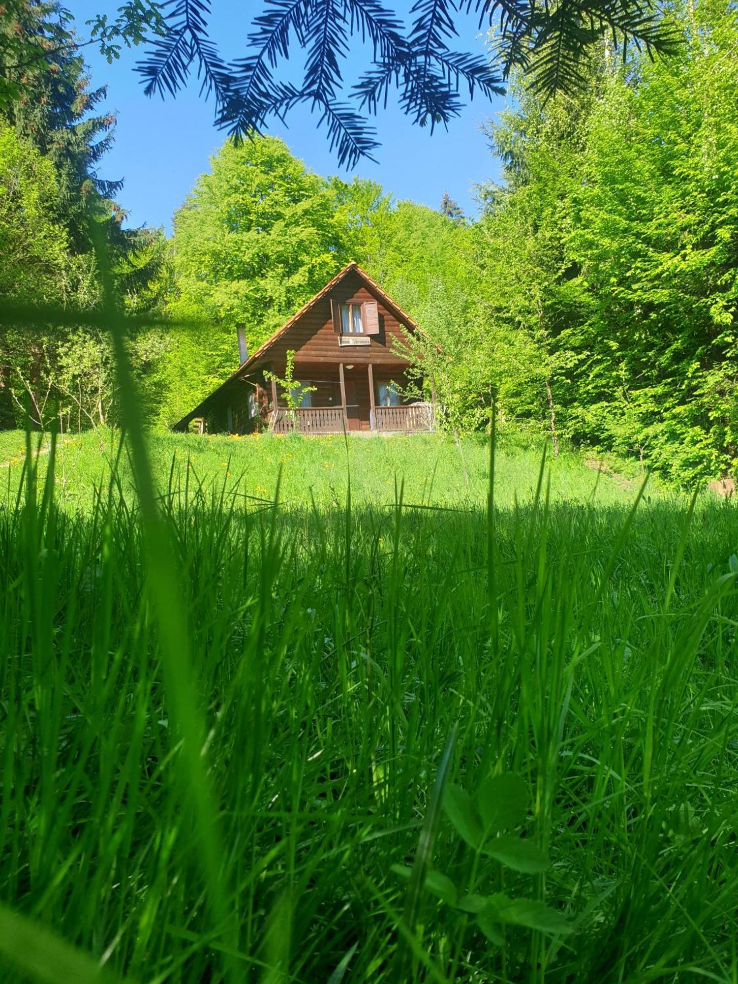 Cabana Lacrimioara Sîmbăta de Sus Exterior foto