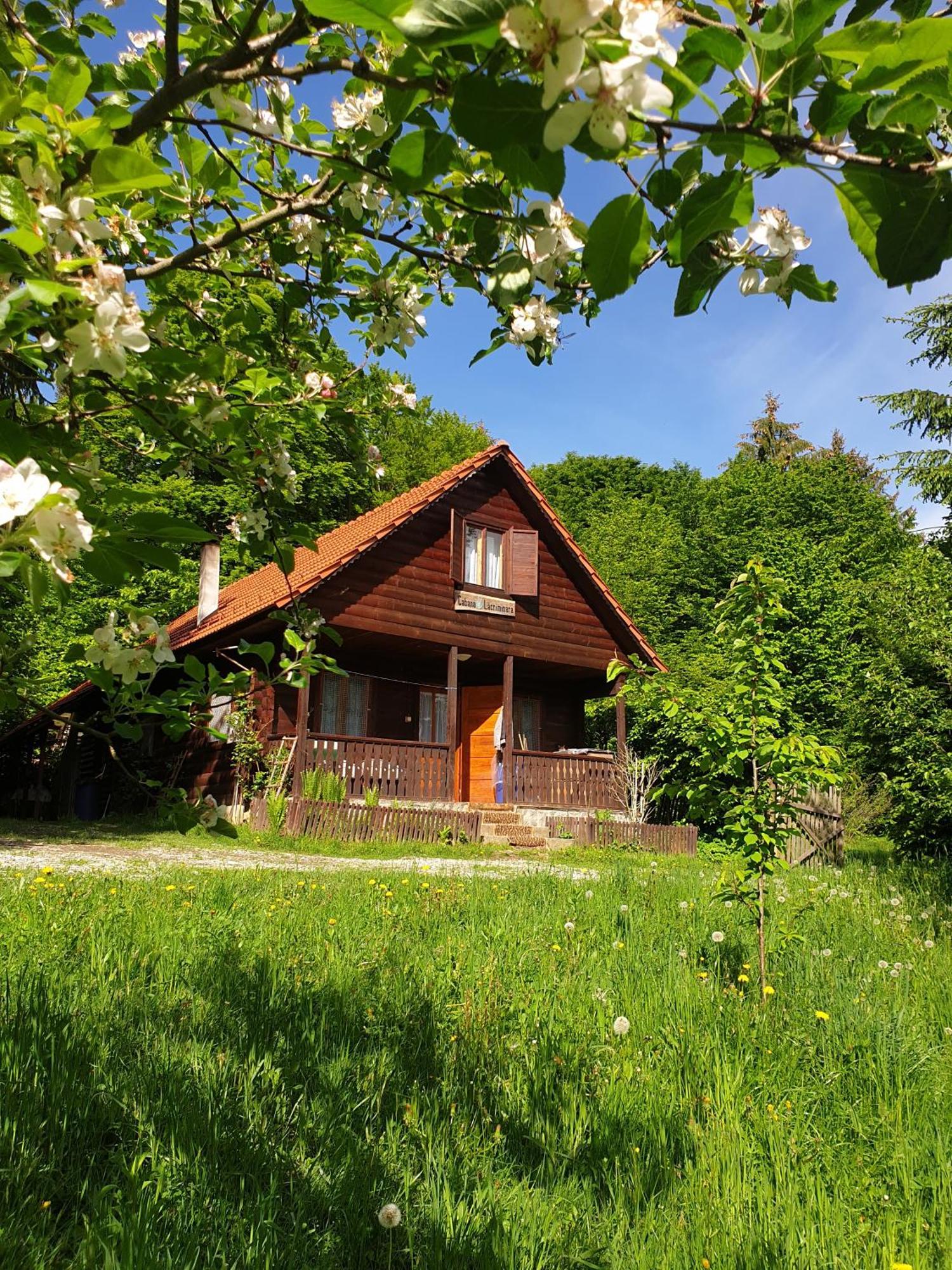 Cabana Lacrimioara Sîmbăta de Sus Exterior foto