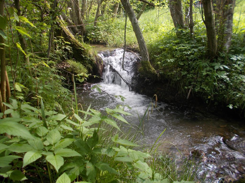 Cabana Lacrimioara Sîmbăta de Sus Exterior foto