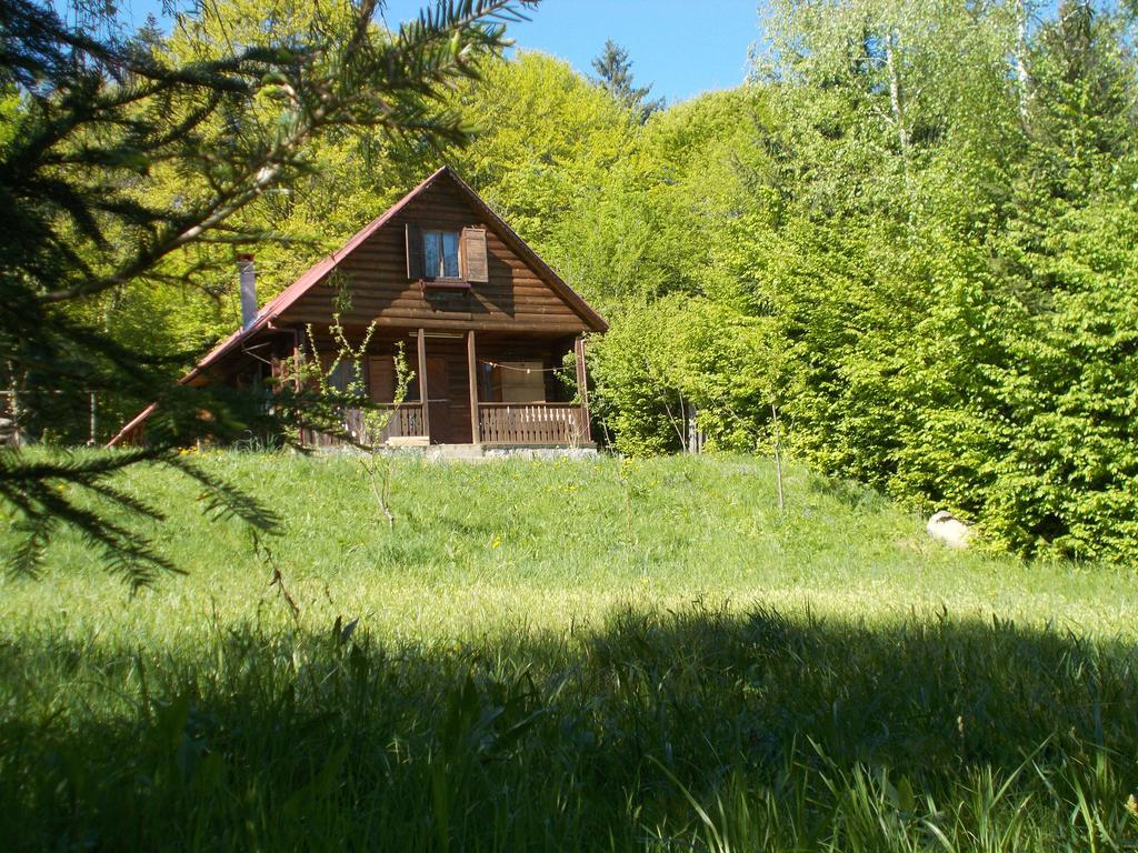 Cabana Lacrimioara Sîmbăta de Sus Exterior foto