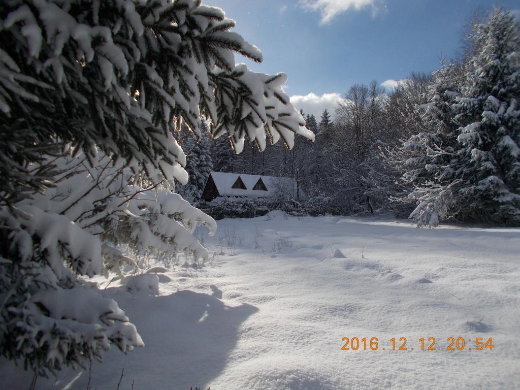 Cabana Lacrimioara Sîmbăta de Sus Exterior foto