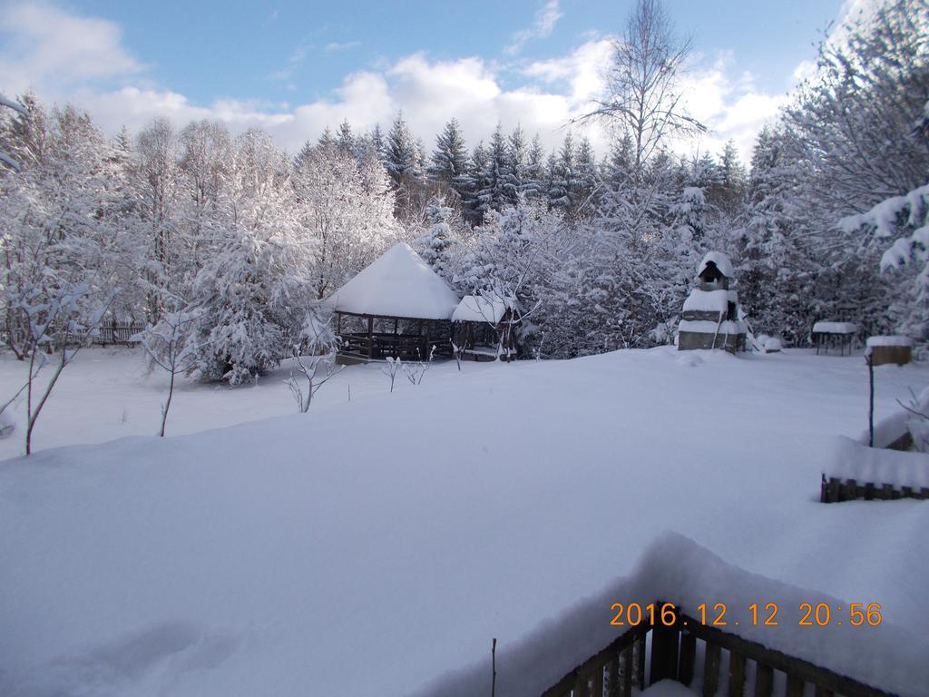 Cabana Lacrimioara Sîmbăta de Sus Exterior foto